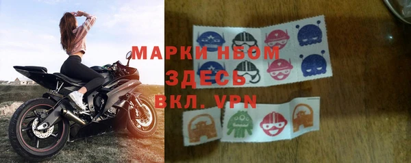 ПСИЛОЦИБИНОВЫЕ ГРИБЫ Арсеньев
