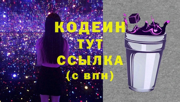 ПСИЛОЦИБИНОВЫЕ ГРИБЫ Арсеньев