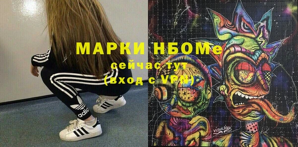 ПСИЛОЦИБИНОВЫЕ ГРИБЫ Арсеньев