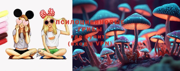 ПСИЛОЦИБИНОВЫЕ ГРИБЫ Арсеньев