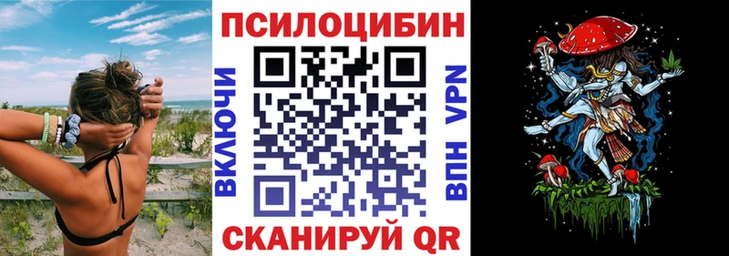 Галлюциногенные грибы Psilocybe  Купить  Алзамай 
