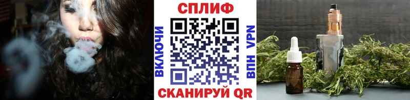 Марихуана THC 21%  Купить где  Алзамай 